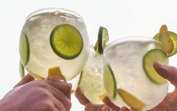 Como fazer gin tônica: veja 3 receitas